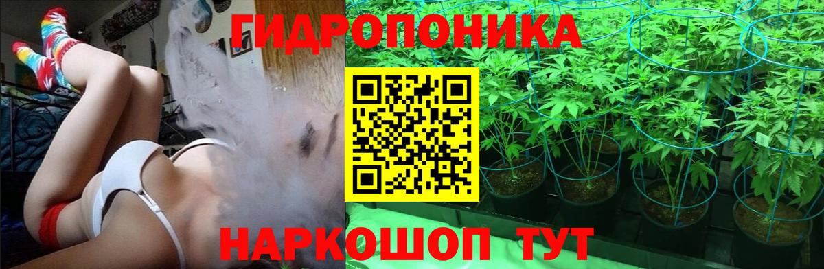 Бошки марихуана OG Kush Скопин